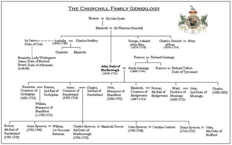 The Spencer Churchill Family Tree | Spencer family, Family tree ...