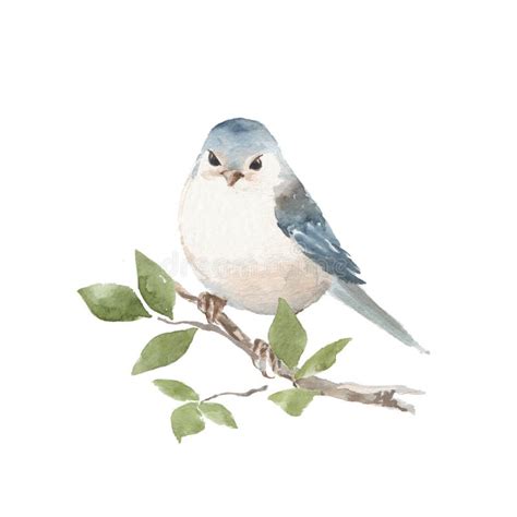 Bird on branch stock illustration. Illustration of nature - 95723176