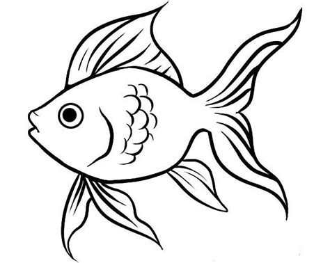 Fish cartoon drawing, Fish drawings, Fish sketch