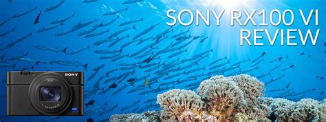 Sony RX100 VI Underwater Camera Review - Underwater Photography - Backscatter