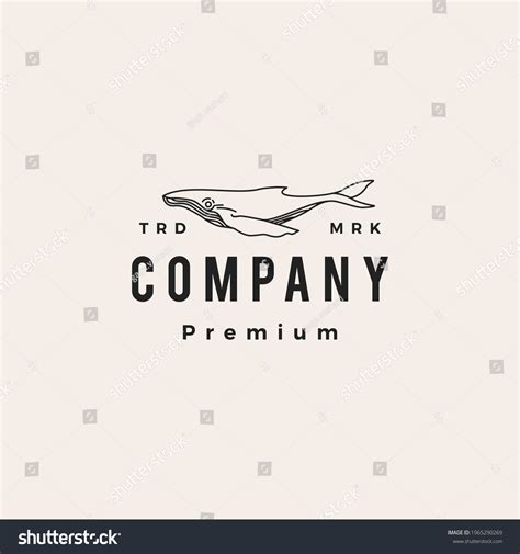 Humpback Whale Hipster Vintage Logo Vector Stock Vector (Royalty Free ...