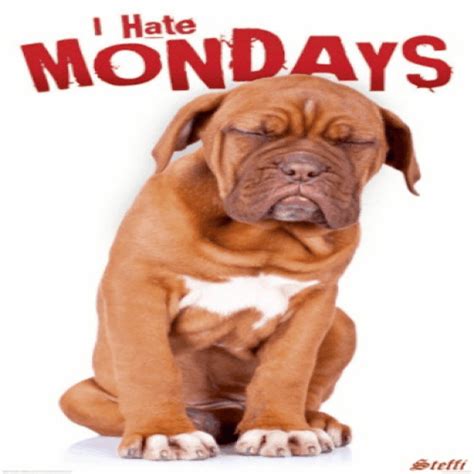 I Hate Mondays Pictures, Photos, and Images for Facebook, Tumblr ...