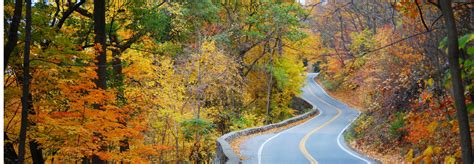 Your Guide to Fall Activities in Hendersonville, NC