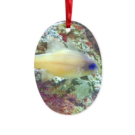 Yellow Fish Ceramic Hanging Ornament – Marick Booster