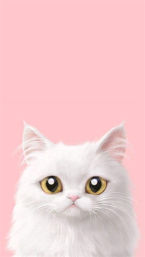 91 Wallpaper Kucing Pink - MyWeb