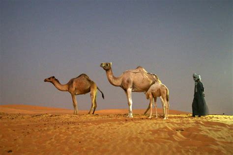 Desert tourism in Mauritania – Middle East Monitor