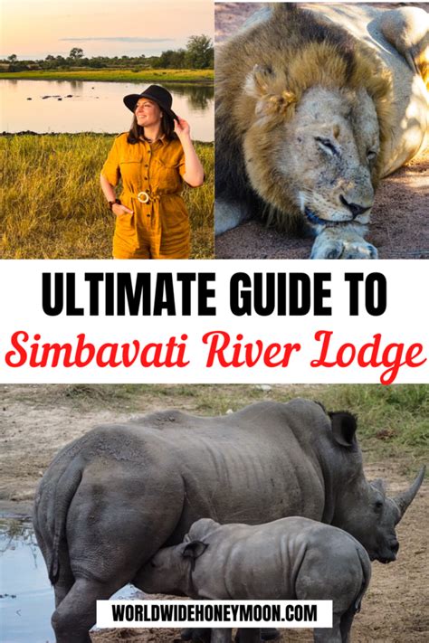 Ultimate Simbavati River Lodge Review - World Wide Honeymoon