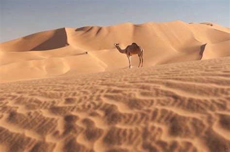 459 best images about Libyan Desert on Pinterest | Morocco, Africa and ...