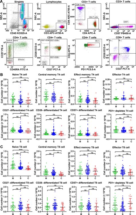 The number of T lymphocyte subsets in COVID-19 patients at hospital ...