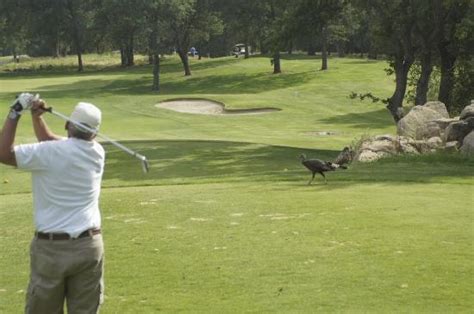 Turkey Creek Golf Club (Lincoln) - 2020 All You Need to Know BEFORE You Go (with Photos ...