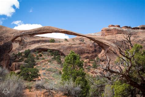 Awesome Easy Arches Hike: Landscape Arch Trail