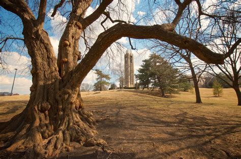 Kansas University Campus | The Campanille framed by the Old … | Flickr