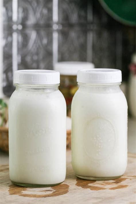 How to Make Yogurt From Raw Milk - Lady Lee's Home