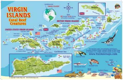 Virgin Islands Map & Coral Reef Creatures Guide Franko Maps Laminated Fish Card by Franko Maps ...