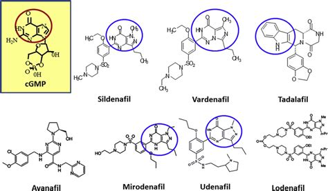 Molecular structures of currently available phosphodiesterase type 5... | Download Scientific ...