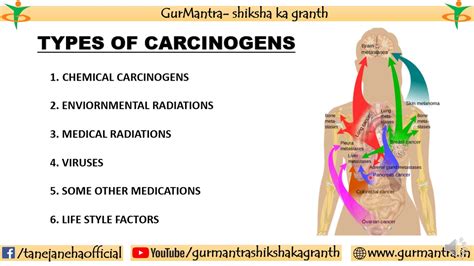 Carcinogen Examples