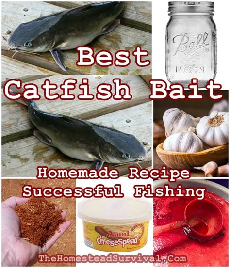 Best Catfish Bait Homemade Recipe for Successful Fishing - The ...