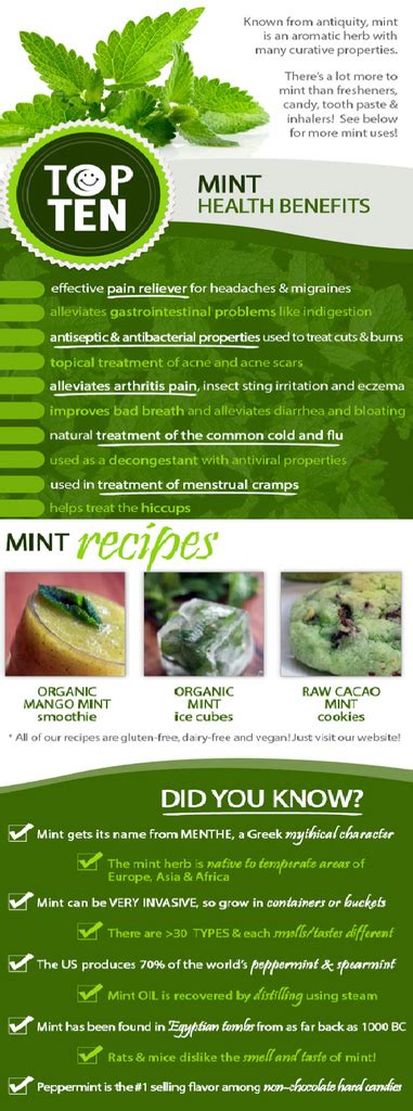 TOP 10 MINT HEALTH BENEFITS – TTN Palawan Inc.