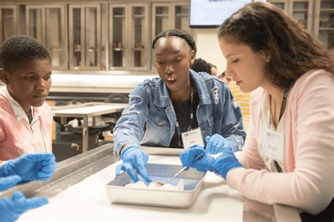 Doctors of Tomorrow get a taste of medical school | FIU News - Florida ...