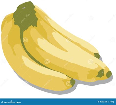 Banana Bunch stock vector. Illustration of white, diet - 4060795