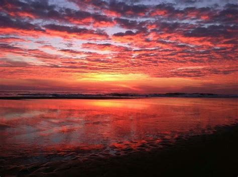 Outer Banks ,N.C. | Outer banks beach, Beach landscape, Sunrise sunset