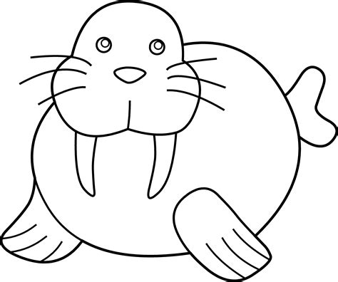 Walrus clipart black and white, Walrus black and white Transparent FREE ...