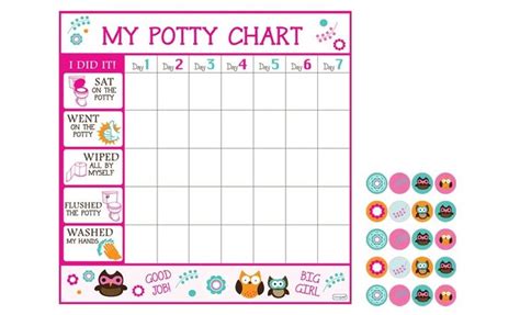 Dry-Erase Potty Chart Decals for $9.99! You’ll be ditching the diapers in no time! | Daily Deals ...