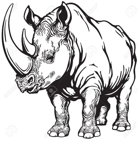 free printable rhino coloring pages for adults - Google Search | Rhino illustration, Rhino art ...