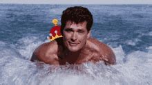 David Hasselhoff Spongebob PFP - David Hasselhoff Spongebob Profile Pics