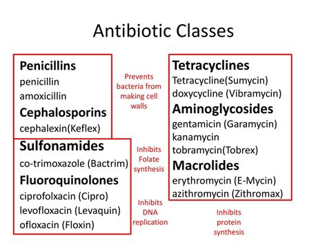 Classifications Of Antibiotics