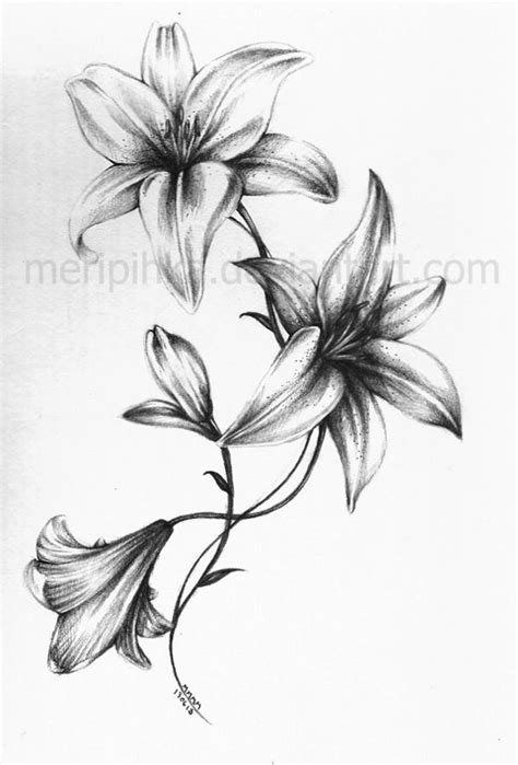 Lily Tattoo 2 by meripihka on deviantART | Lily flower tattoos, Lily ...