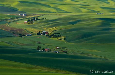 The Palouse, Washington. | Palouse, Landscape, Washington state