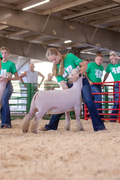 Home - Des Moines County Fair