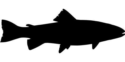 SVG > fish fishing trout - Free SVG Image & Icon. | SVG Silh