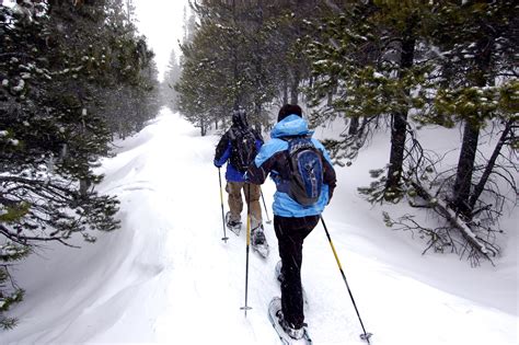 3 full-moon snowshoe hikes announced in Midway | Winter hiking, Winter ...