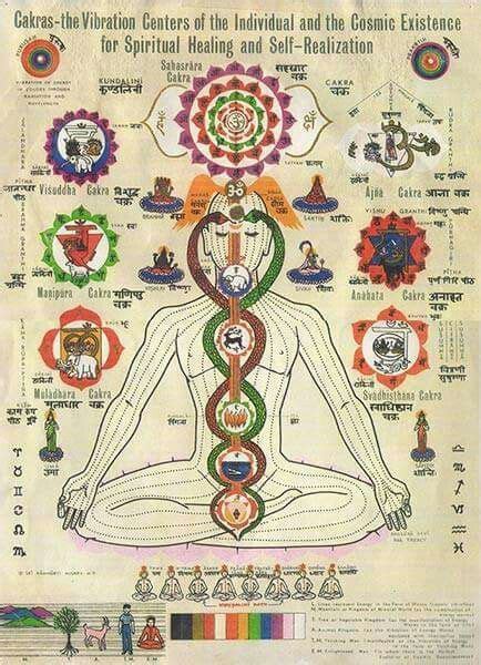 The Chakras | Kundalini yoga, Chakra meditation, Chakra