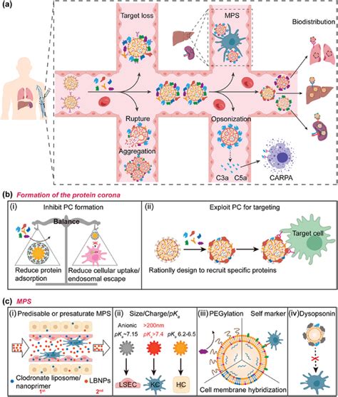 Schematic illustration of systemic barriers and coping strategies. a)... | Download Scientific ...