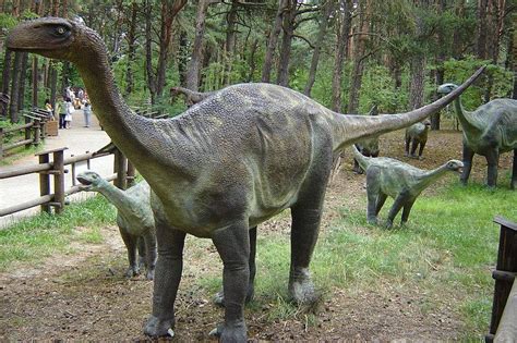 Pictures and Profiles of Sauropod Dinosaurs