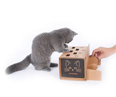 Interactive Cat Toy | Catastic