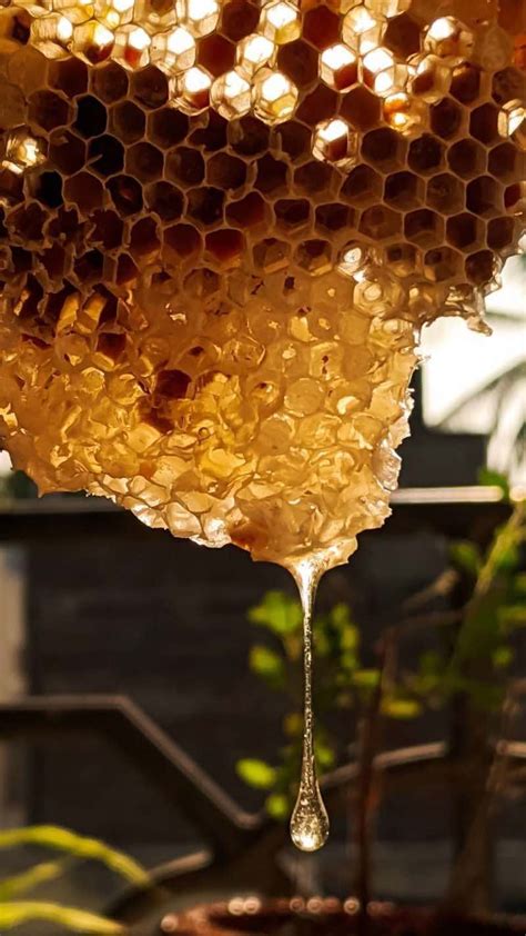 Can You Eat Honeycombs? 9 Benefits and Uses of Honeycomb