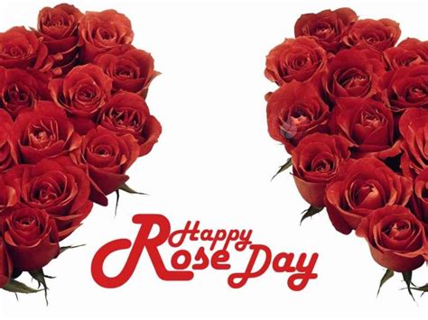 Happy Rose Day Images, Photos, Greetings, Wallpaper, Pictures, 2020