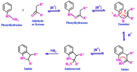 Carbonyl compounds react with phenyl hydrazine to form: