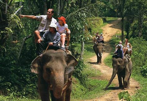 Elephant Rides are a Fun Bali Activity the Whole Family Can Enjoy