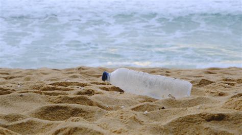 Woman cleaning plastic on the beach. People voluntarily clean nature from plastic. Concept of ...