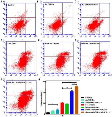 Apoptosis assay of cells under different treatments after double ...