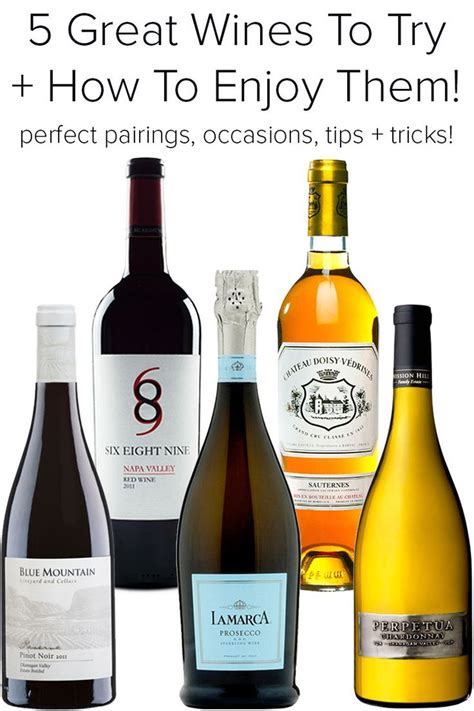 5 Must-Try Wines For The Winter Holidays - Styled to Sparkle | Wine food pairing, Wine recipes ...