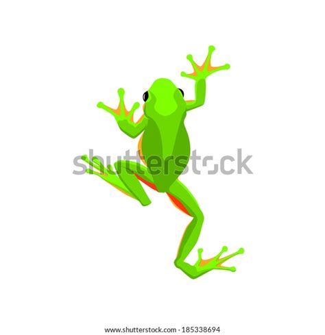 Green Tree Frog Vector Stock Vector (Royalty Free) 185338694