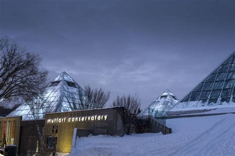 Visiting the Muttart Conservatory in Edmonton (for 2024)