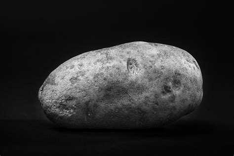 Single Russet Potato in Black and White Photograph by Donald Erickson ...