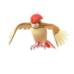 Shiny Pidgeotto - ShinyRating